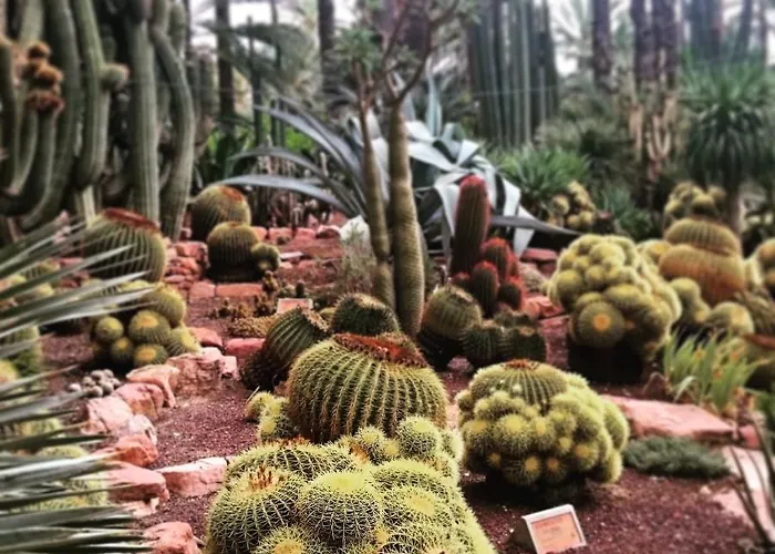 Apartament Holidays *