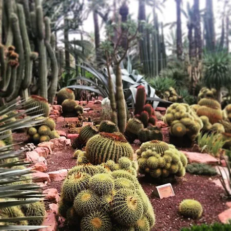 Apartamento Holidays *